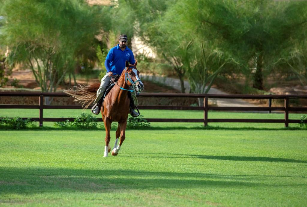 Nofa Riyadh A Radisson Collection Resort 3*