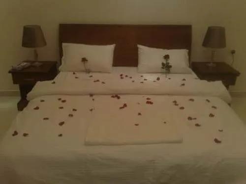 Towlan Suites 1 3*