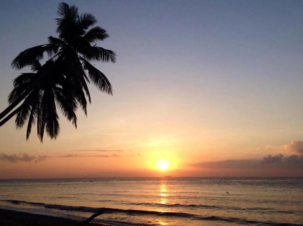 Atlantis Dive Resort Dumaguete 5*