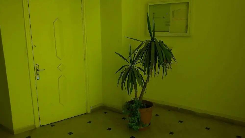 Rent Apartment In Tunis 0*