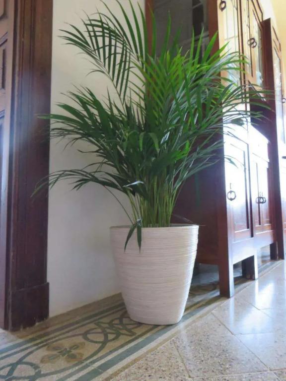 Masseria Borgo Santuri 3*