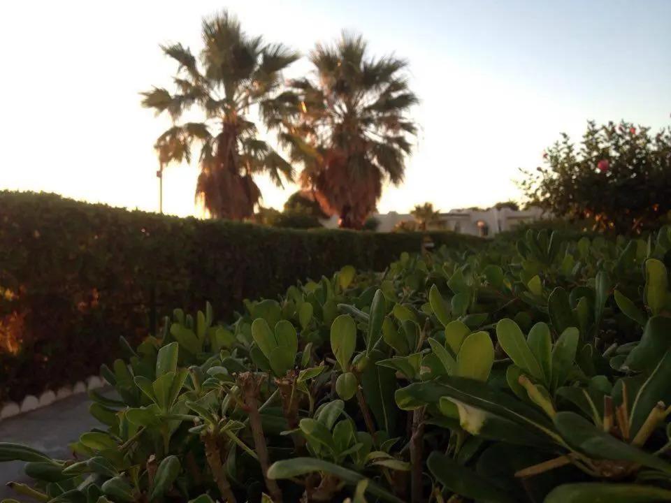 Complexe Touristique Sidi Salem 0*