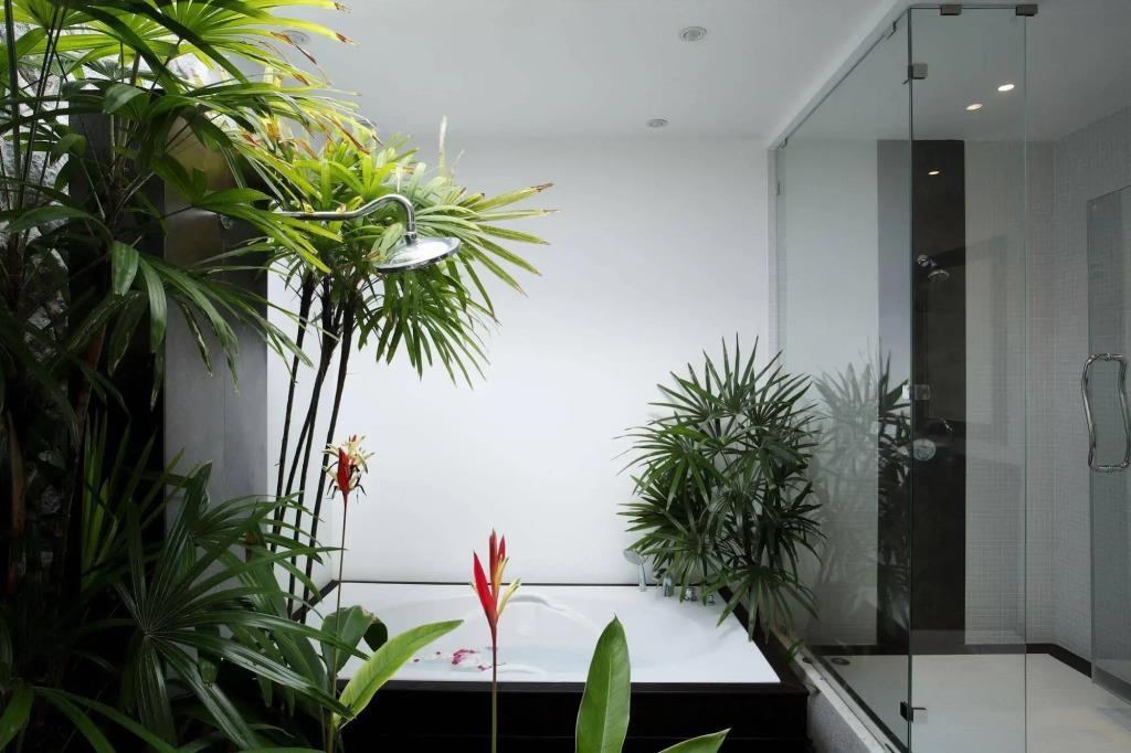 Villas Aelita Phuket 4*