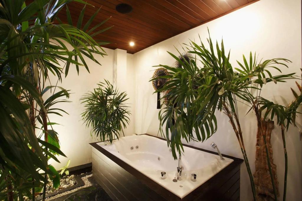 Villas Aelita Phuket 4*