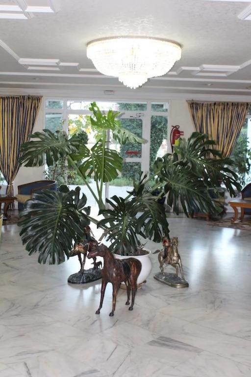 Hotel Sidi Salem 3*