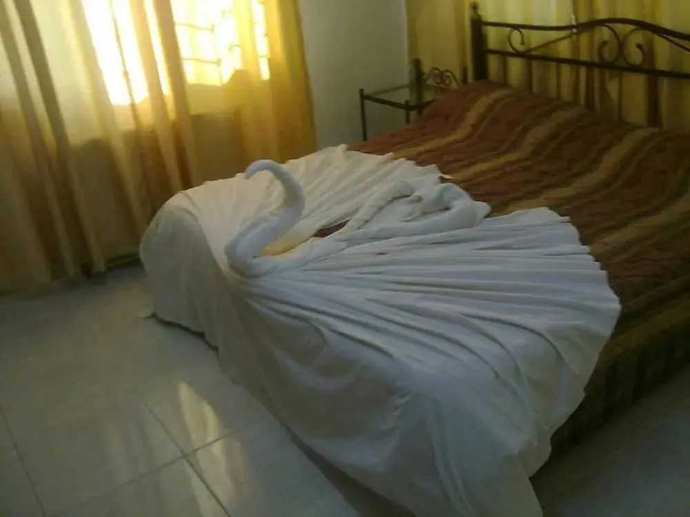 Shatha Petra Hotel 3*