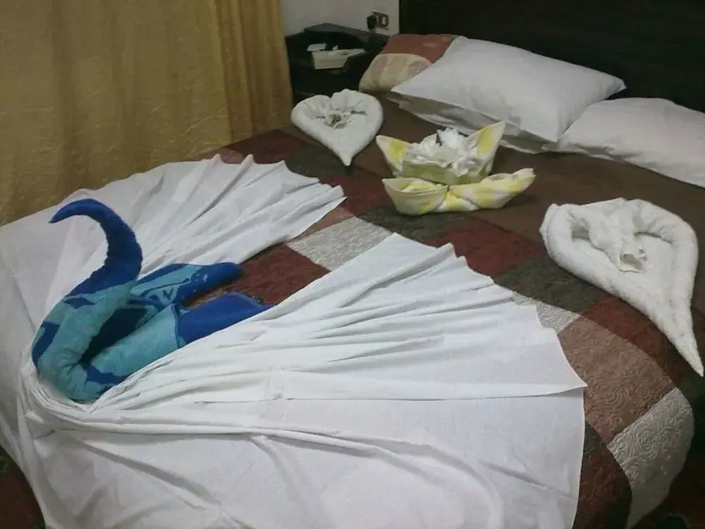 Shatha Petra Hotel 3*