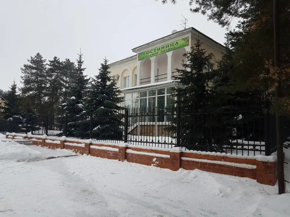 Лесная поляна 1*