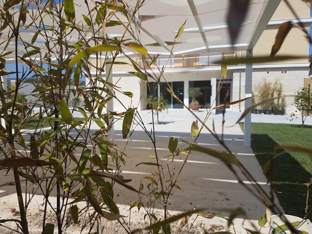 Netum Hotel 4*