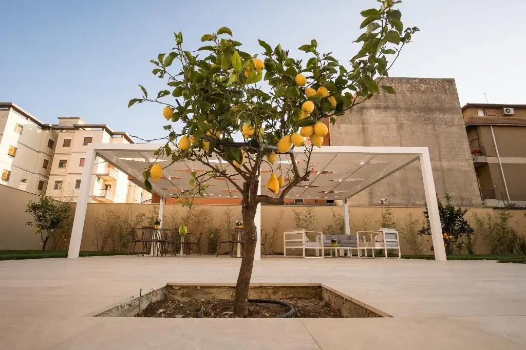 Netum Hotel 4*