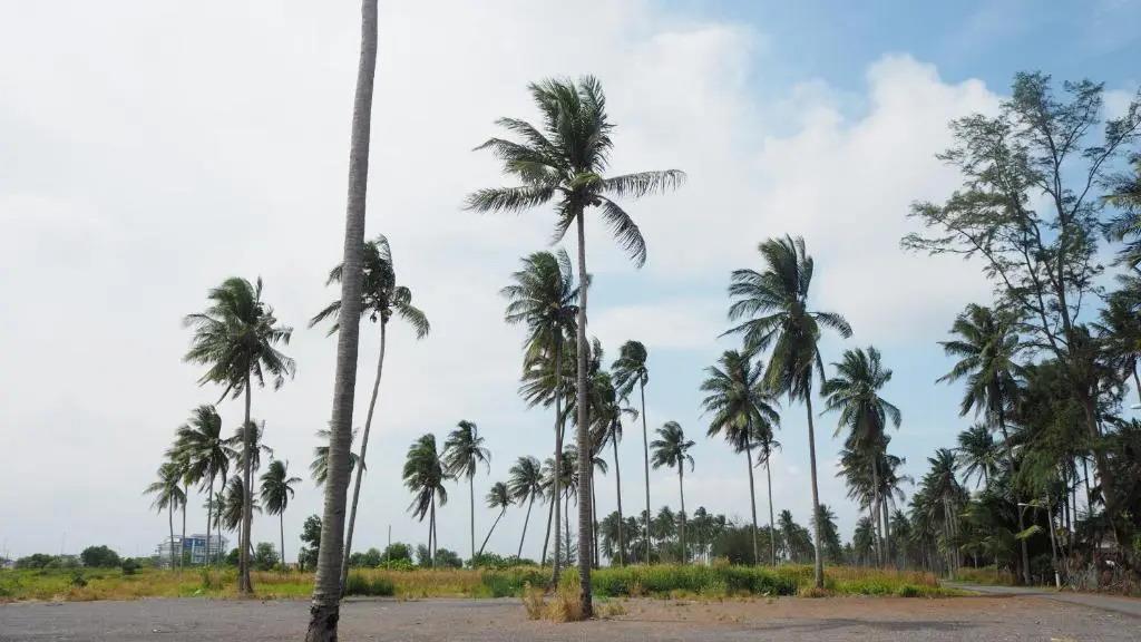 Lotus Seaview Beach Resort 3*