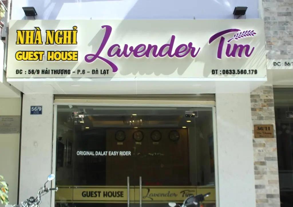 Lavender Tim 0*