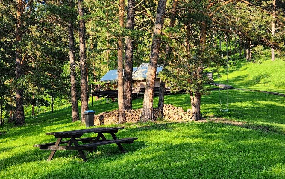 Вдохни Алтай 0*