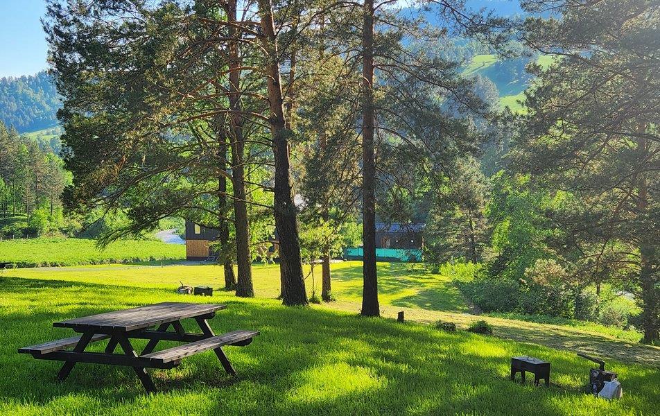 Вдохни Алтай 0*