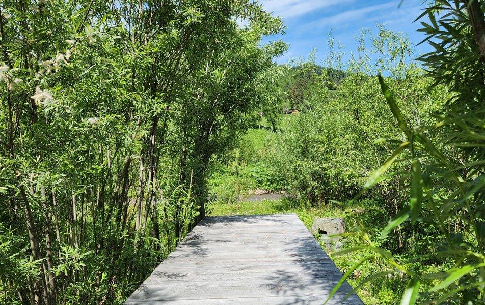 Вдохни Алтай 0*