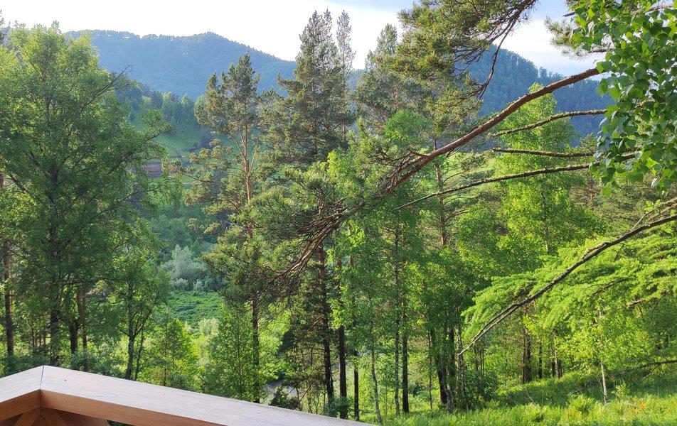 Вдохни Алтай 0*