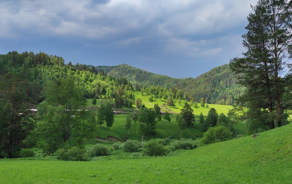 Вдохни Алтай 0*