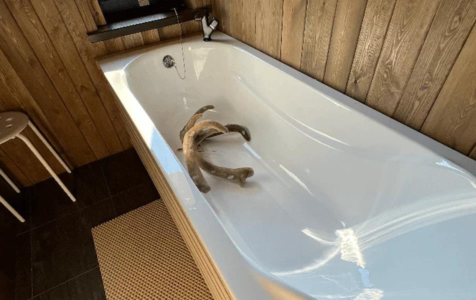 Терра Алтая 0*