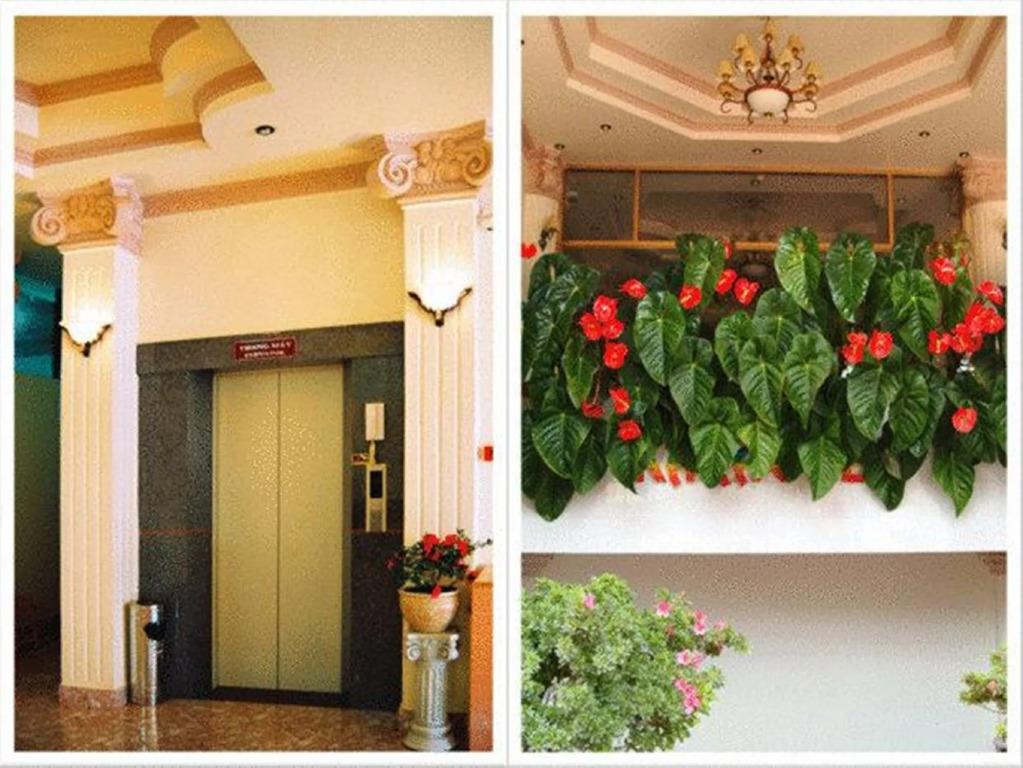 Dragon King 1 Hotel Da Lat 3*
