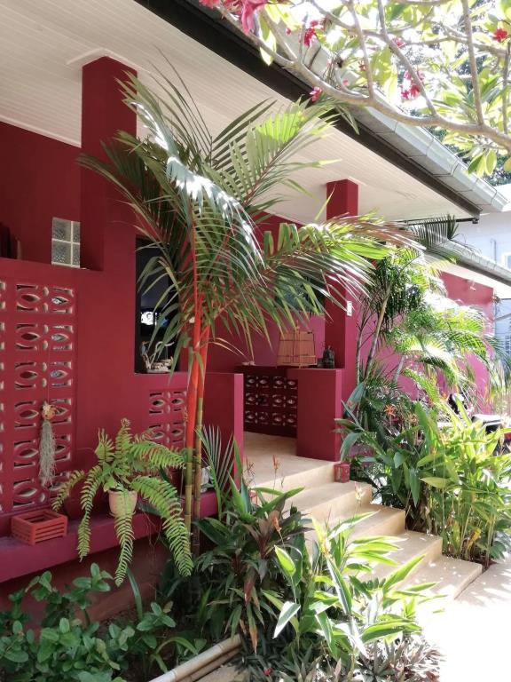 Pink House Samui 3*