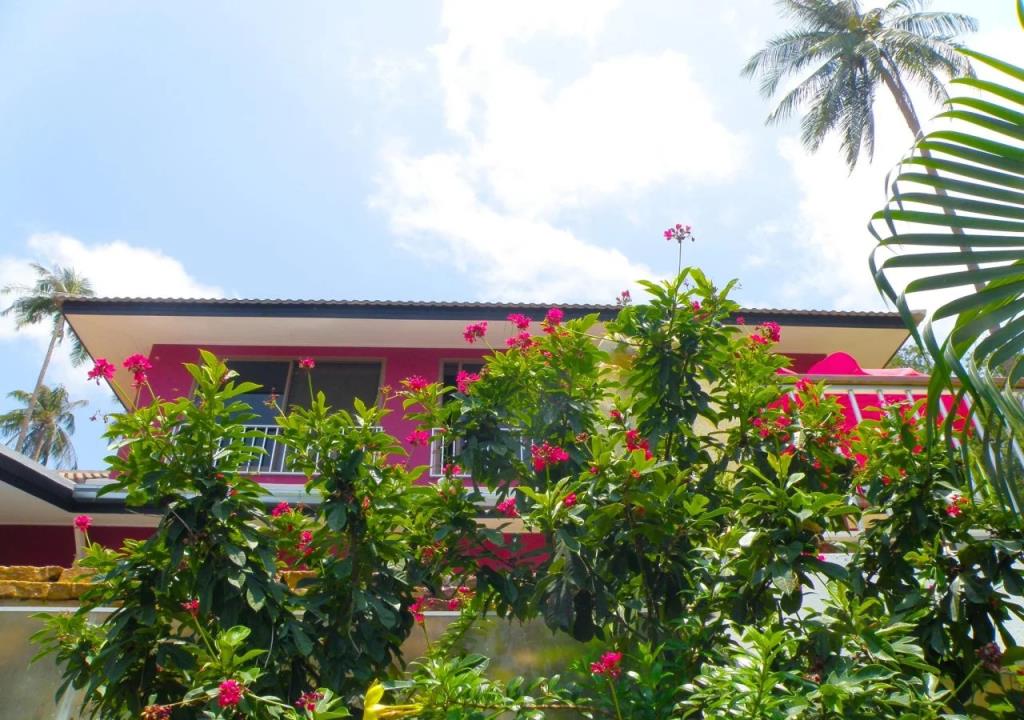 Pink House Samui 3*