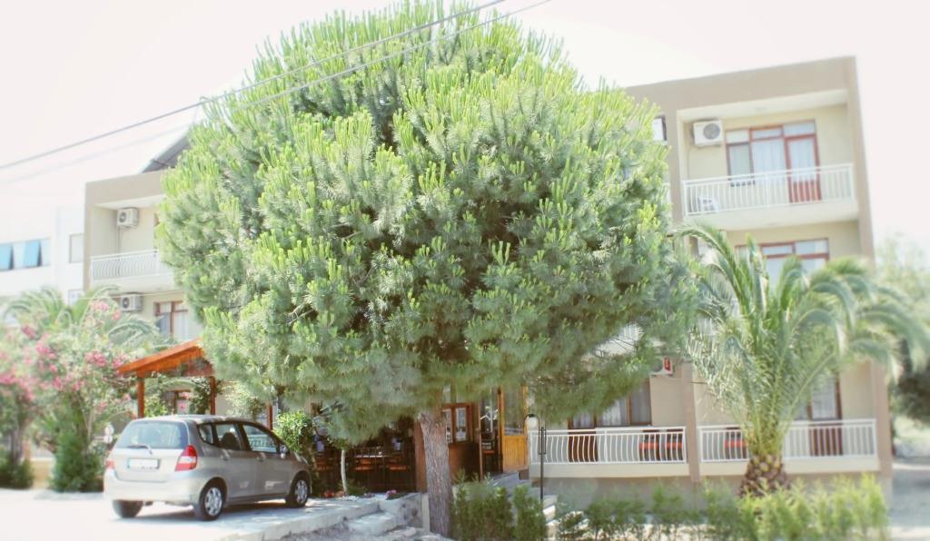 Grand Yayla Hotel 0*