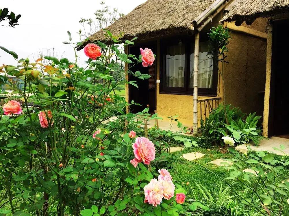 May Homestay Ninh Binh 3*