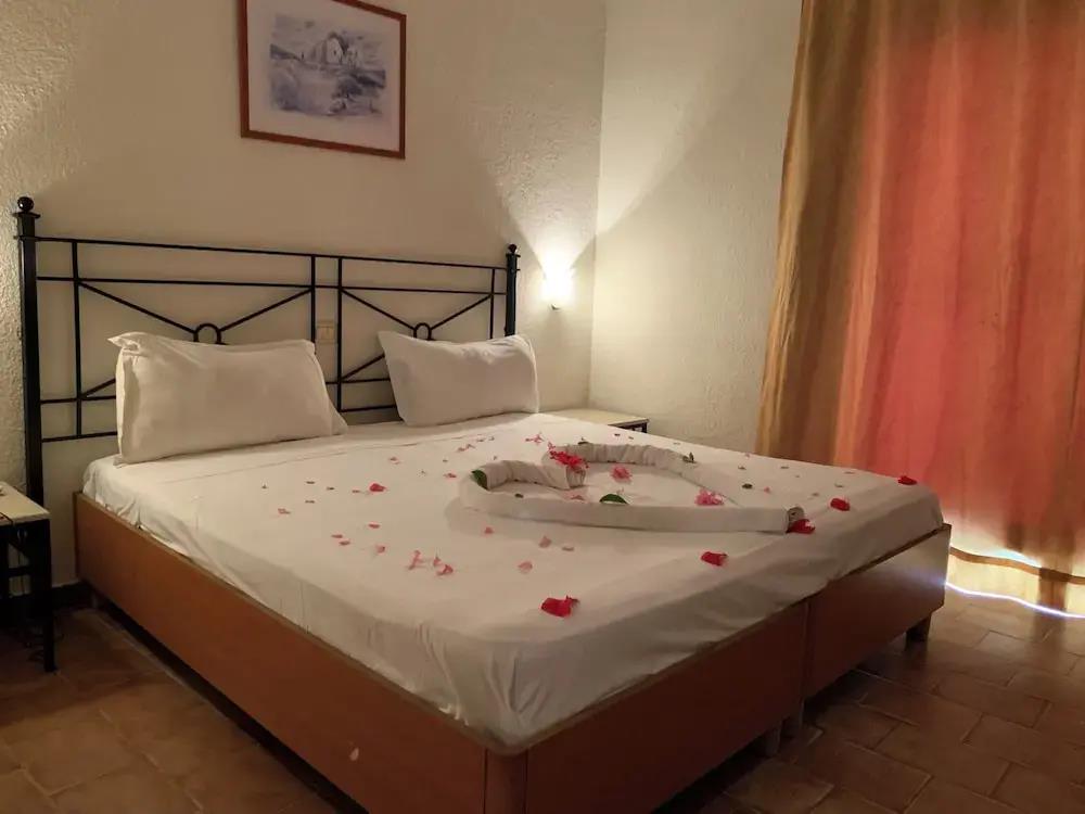 Sol Palmeras Beach - Family Hotel 3*