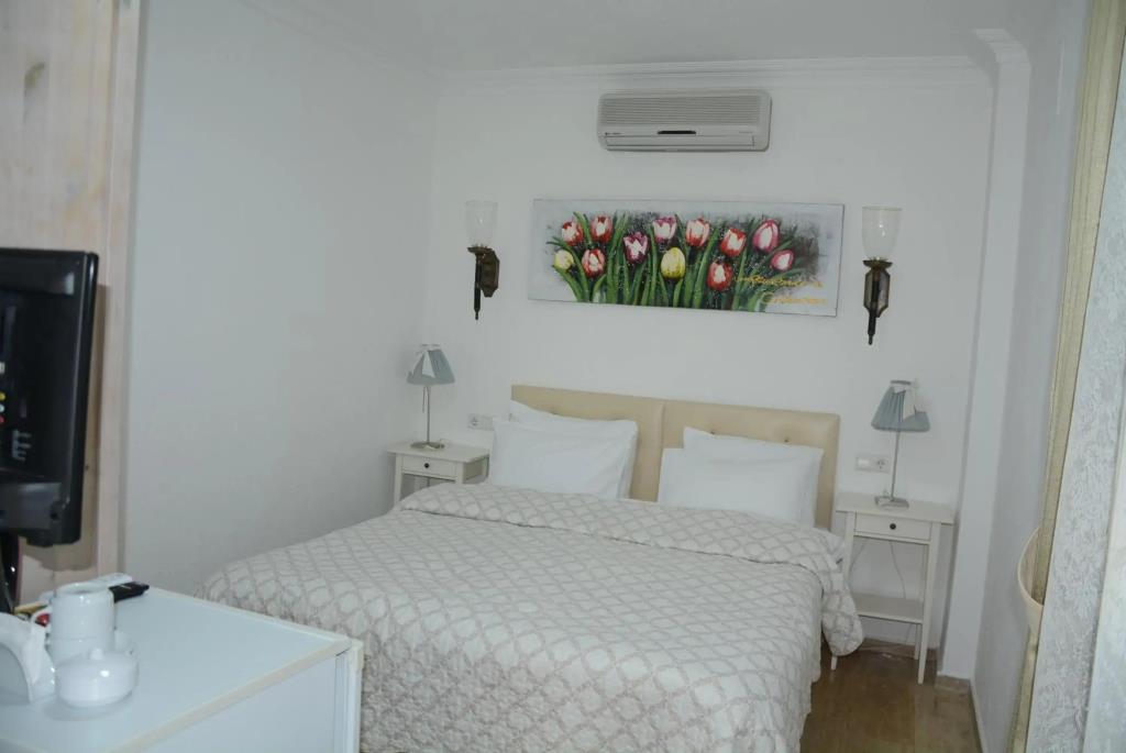 Berg Villa 0*