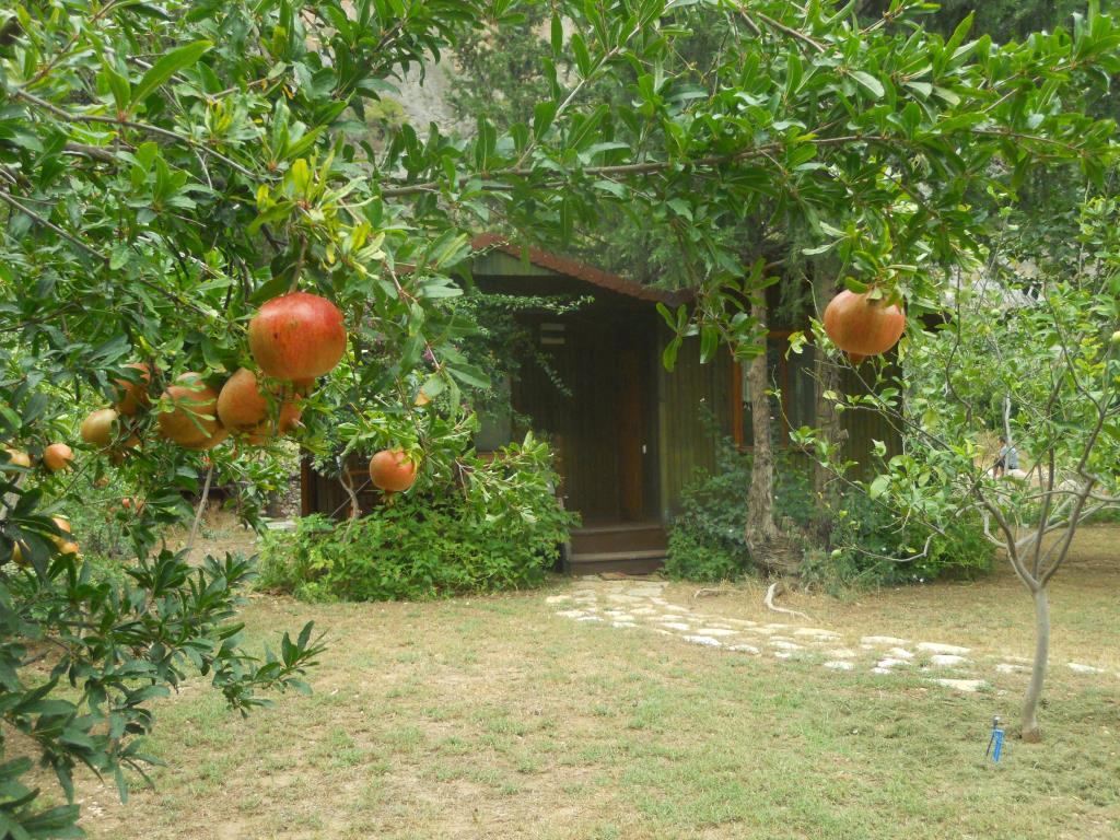 Kibala Hotel 0*