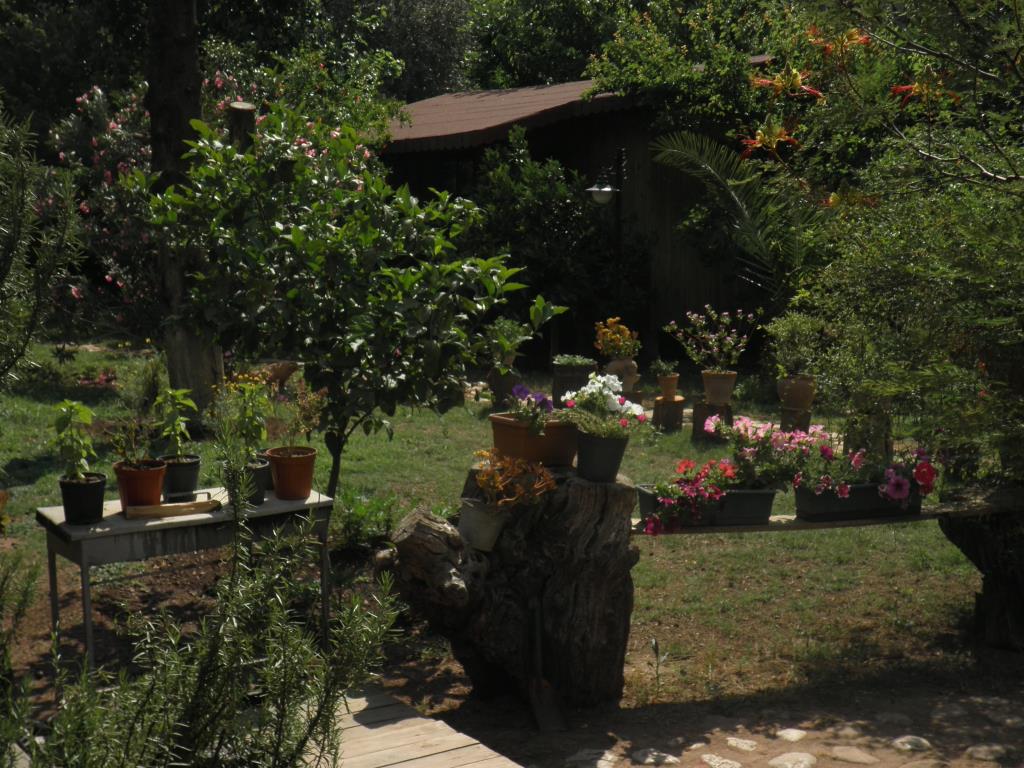 Kibala Hotel 0*