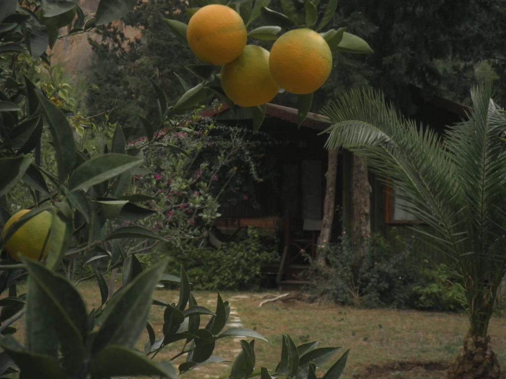 Kibala Hotel 0*