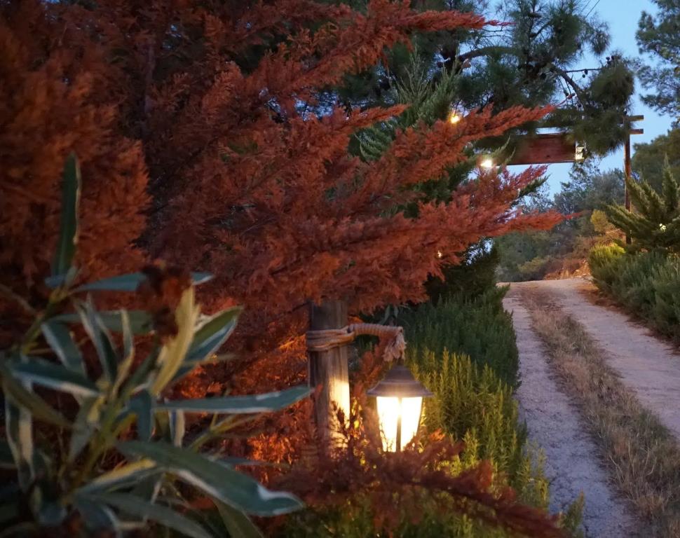 Datca Masal Gibi 0*