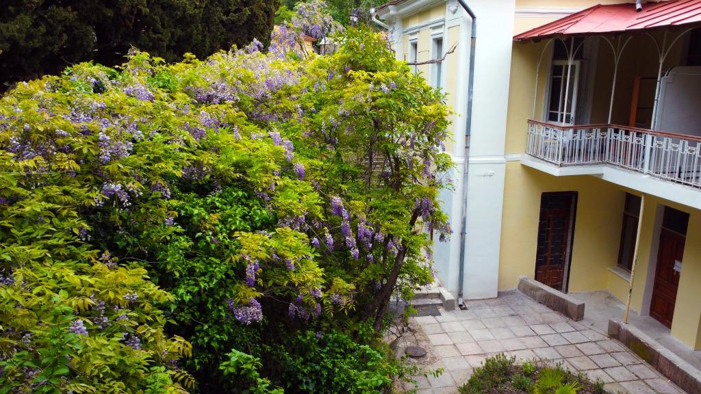 Ligo Morskaya Hotel 3*