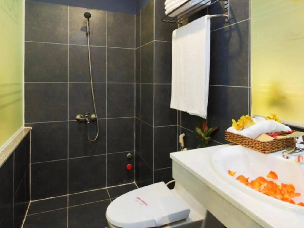 The Noble Swan Central Dong Du Hotel 3*