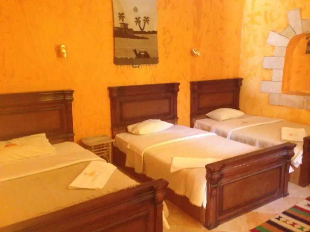 Dream Lodge Siwa 3*
