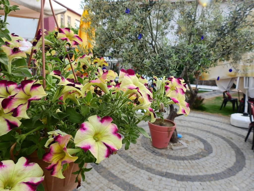 Eden Selene Hotel 0*