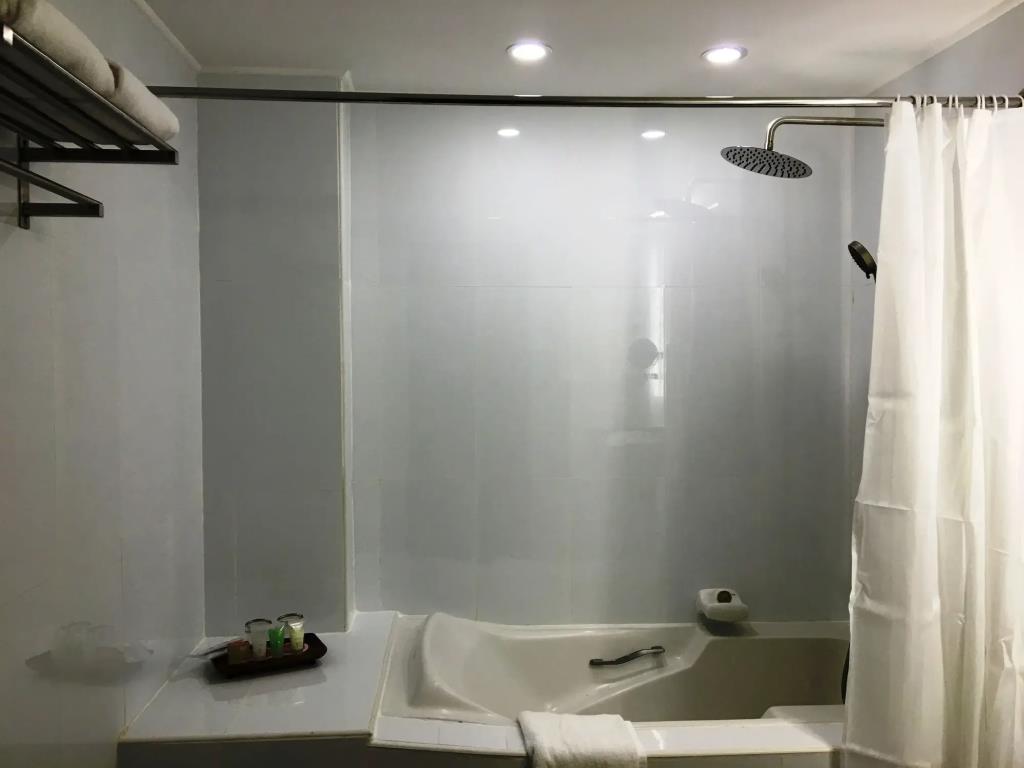 Bayview Park Hotel Manila 3*