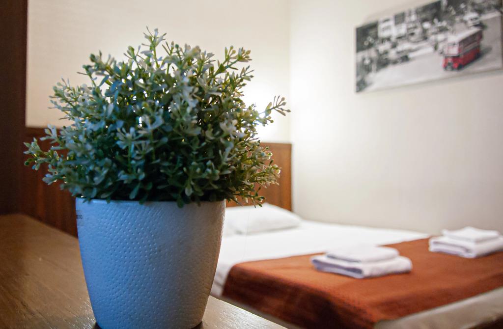 Apel'sin v Mytyno Mini hotel 2*