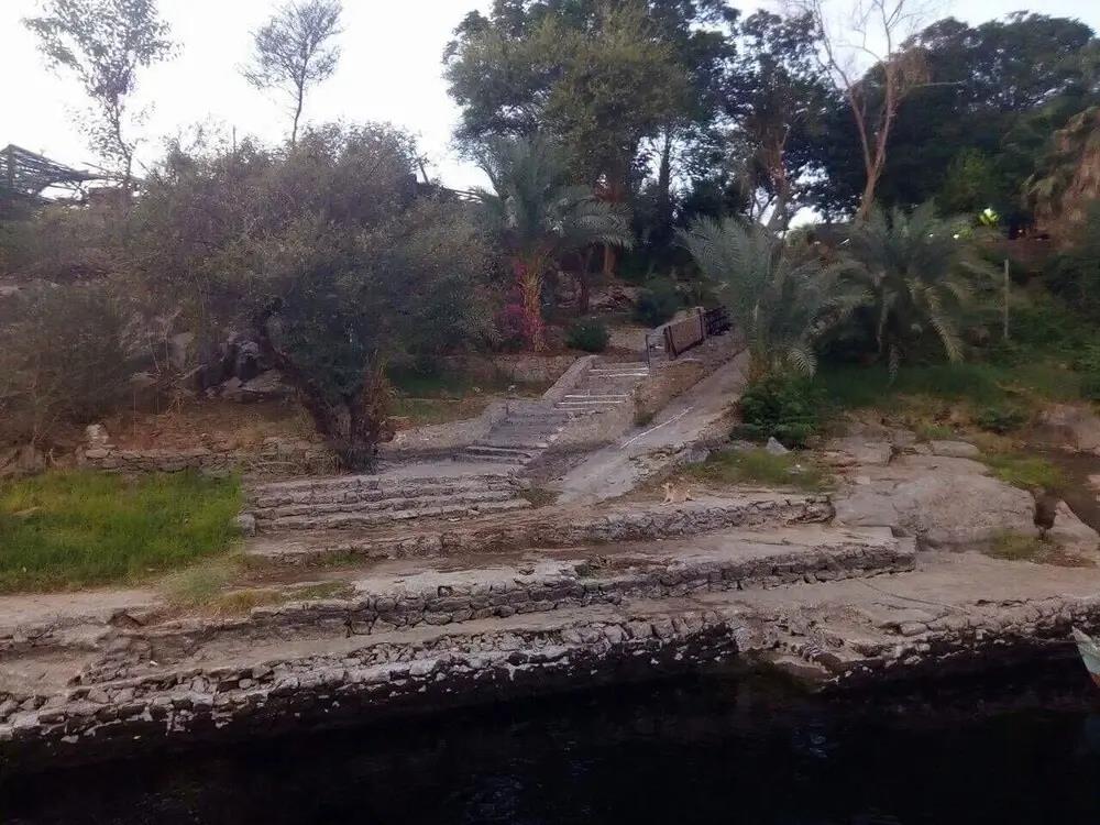 Nubian Farm 2*
