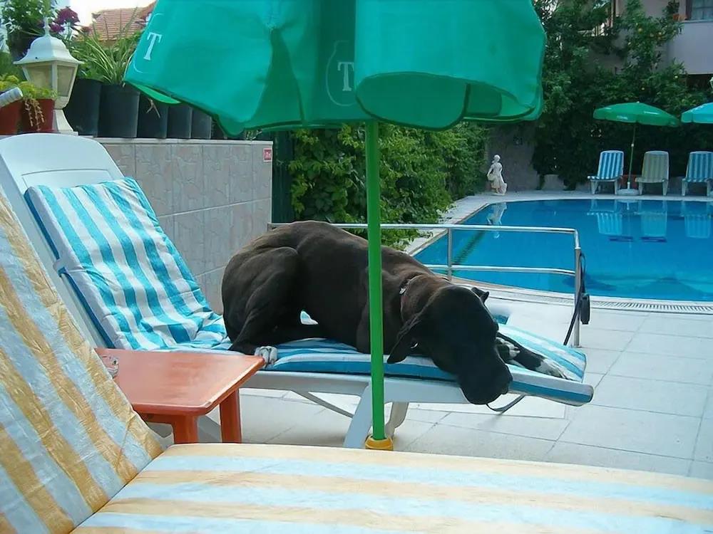 Mandalinn Hotel 0*