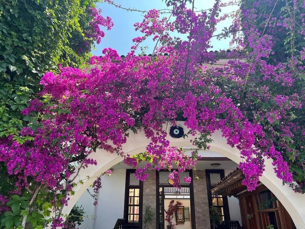 Palma Rosa Hotel 0*