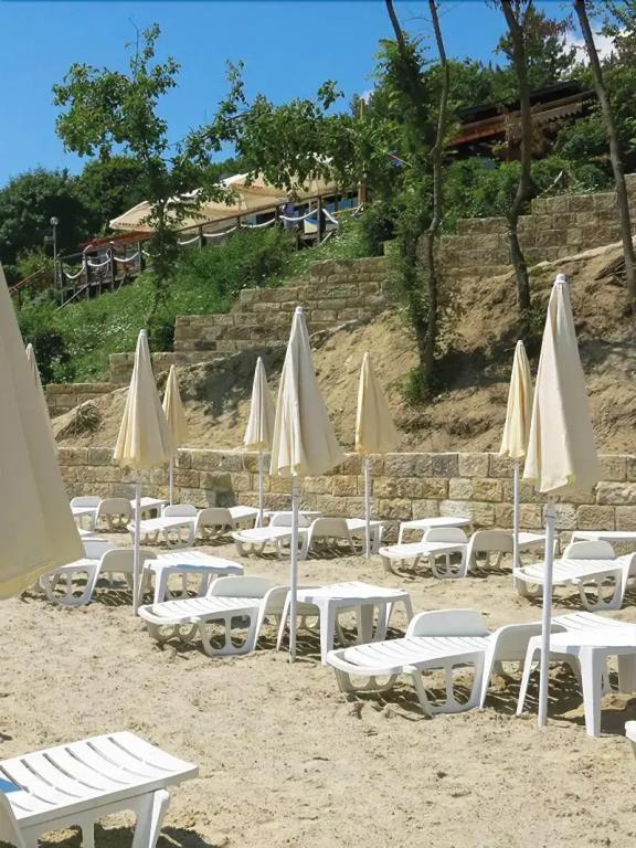 Albizia Hotel 3*