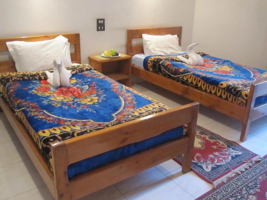 Amon Hotel 3*