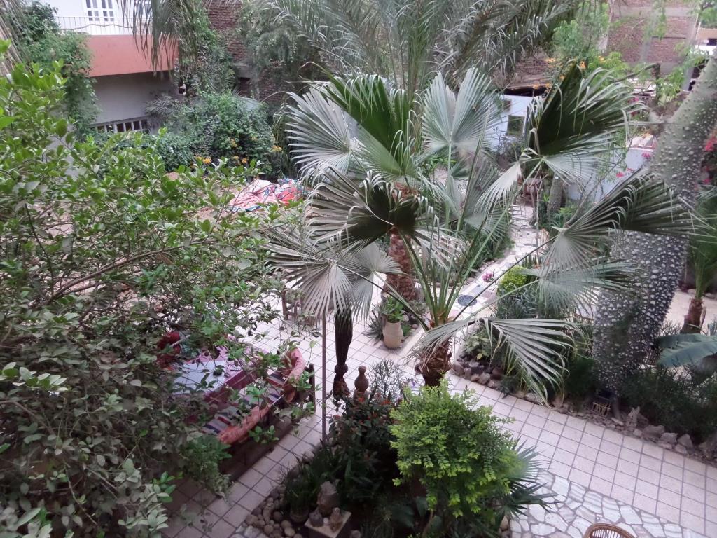 Amon Hotel 3*