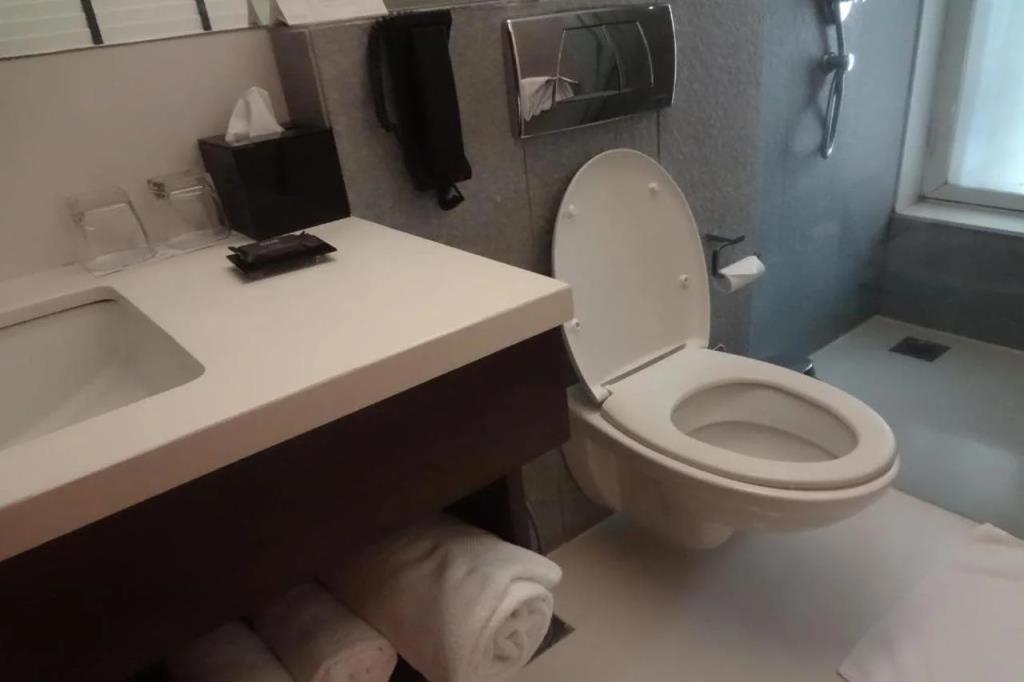 Svenska Design Hotel, Mumbai 4*