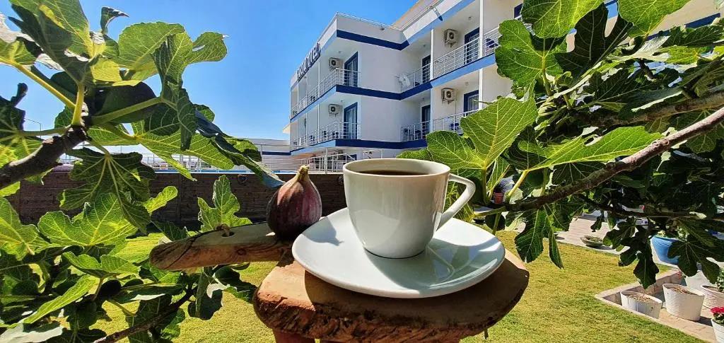 Bartu Otel 0*