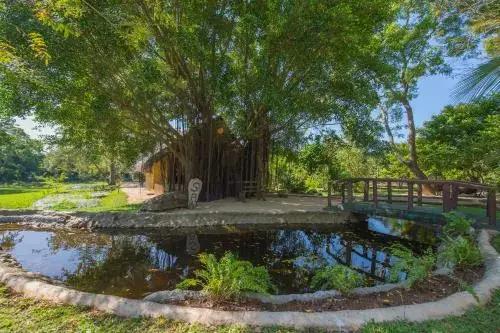 Kalu's Hideaway Udawalawe 3*