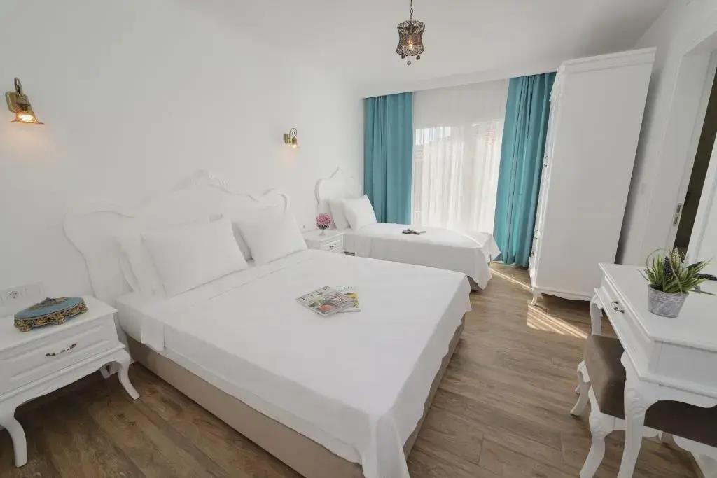 Alesya Otel 0*