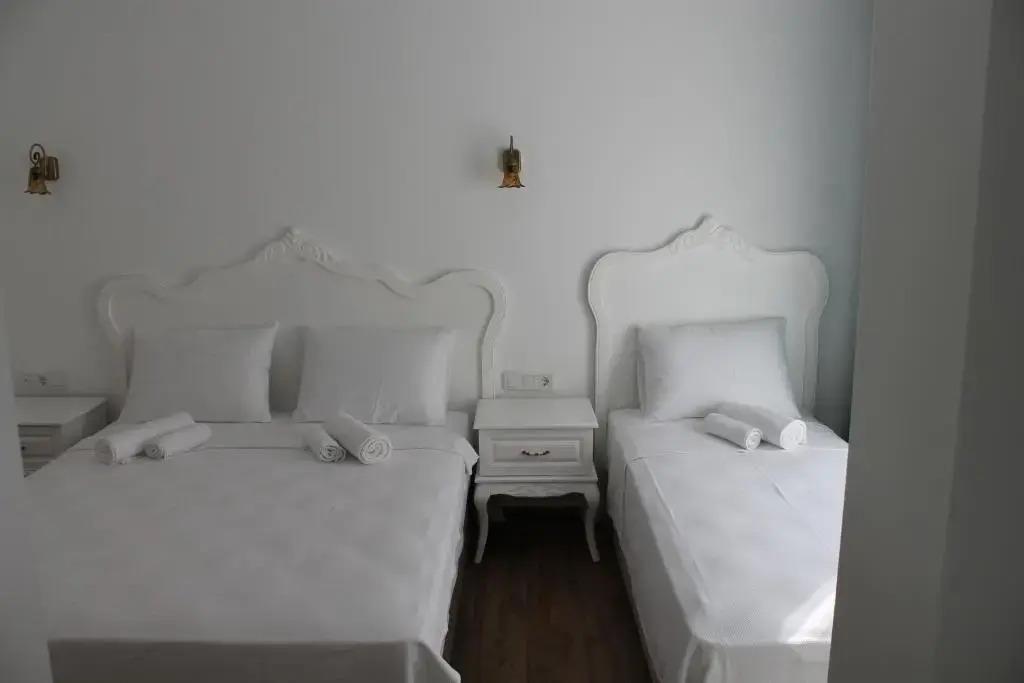 Alesya Otel 0*